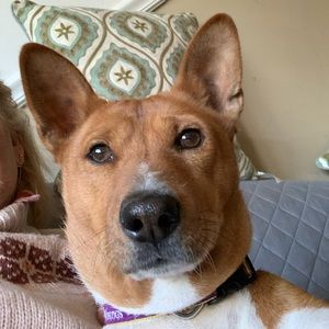 Meet your Posher, Sharon